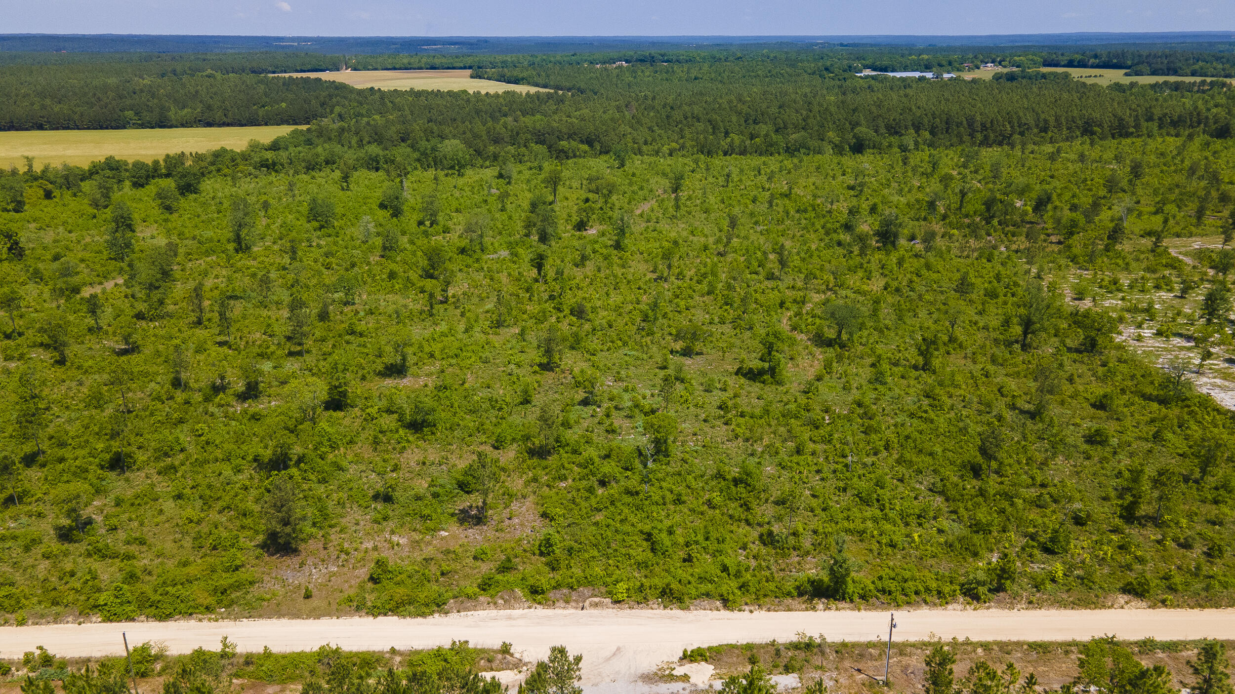 Lot 14 Old Shoals Road Road Monetta, SC 29105 - Photo 2 of 4