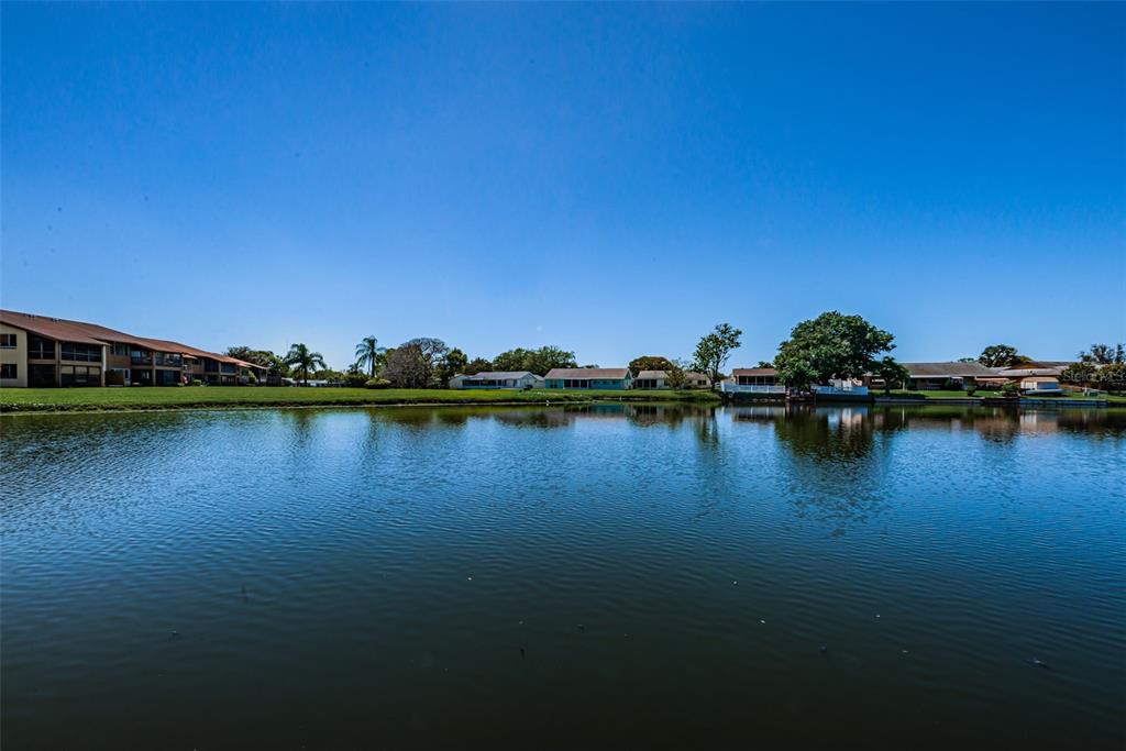 3835 Lighthouse Way New Port Richey, FL 34652 - Photo 76 of 78