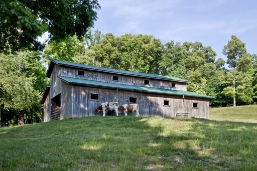 154 Harvey Road Kingston, TN 37763 - Photo 32 of 40 Additional Photo