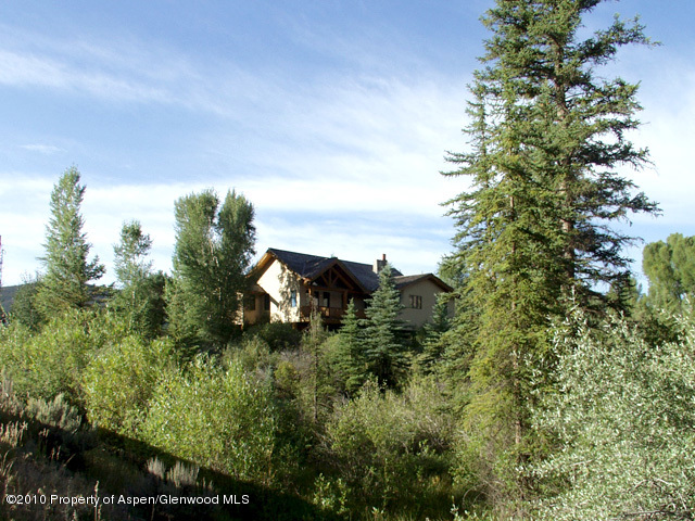 75 Capitol Creek Road Snowmass, CO 81654 - Photo 11 of 15 Exterior / Land