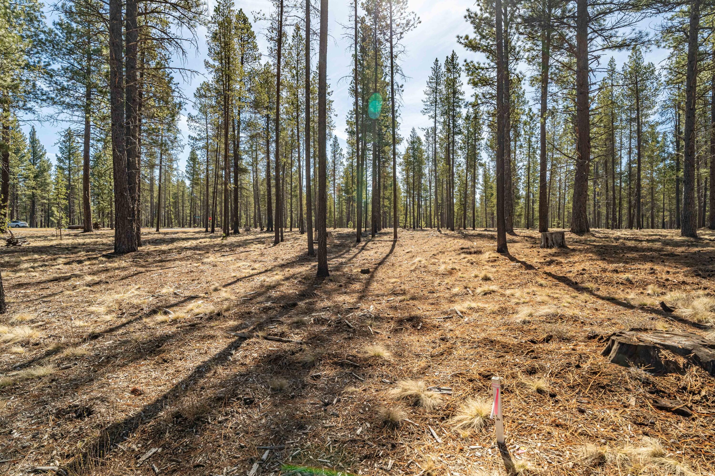 Cottontail Loop Bend, Unit 467 Bend, OR 97707 - Photo 1 of 20 DSC07581-HDR