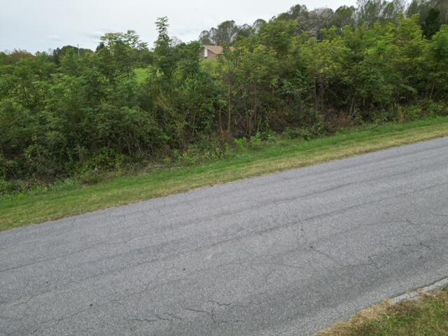 0 Highfield Road Rocky Mount, VA 24151 - Photo 3 of 5 a view of a field with a trees