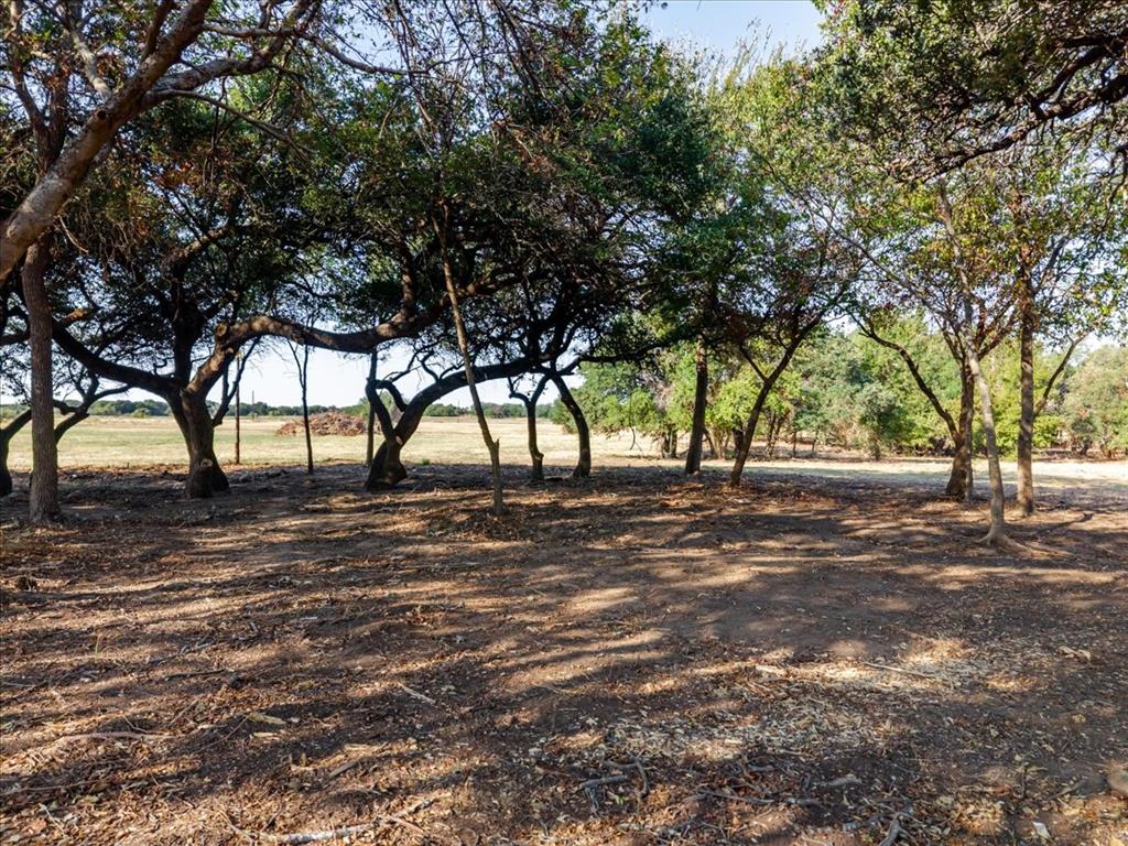 2768 Live Oak Road Santo, TX 76472 - Photo 8 of 23 Gallery Image 8