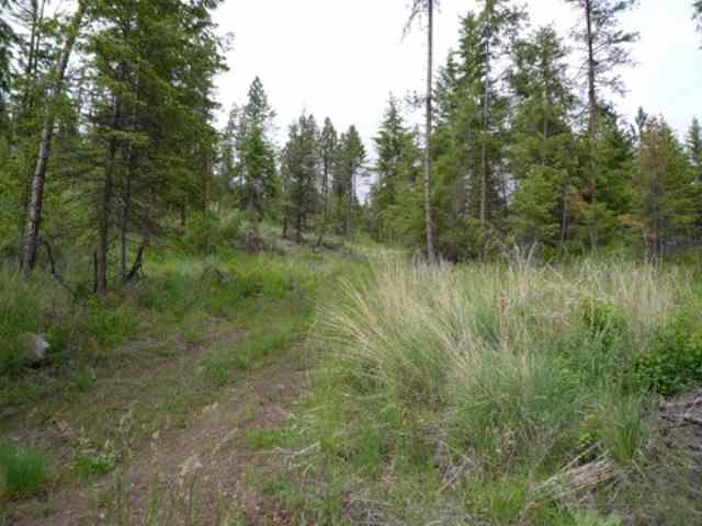 0 Bissell - A Road Hunters, WA 99137 - Photo 3 of 9