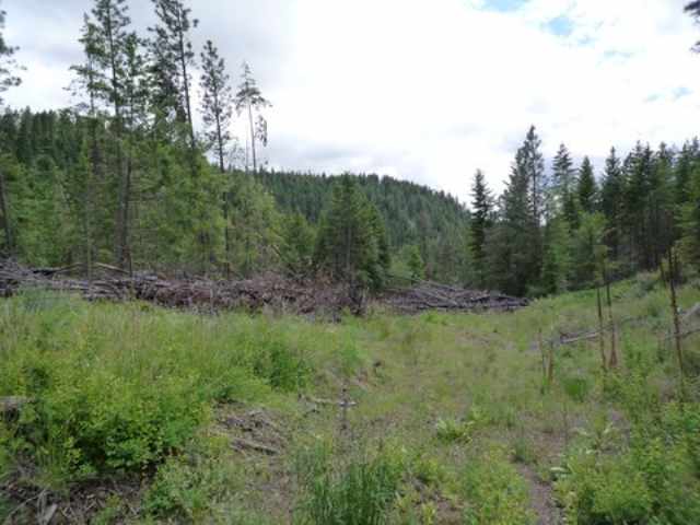 0 Bissell - A Road Hunters, WA 99137 - Photo 5 of 9