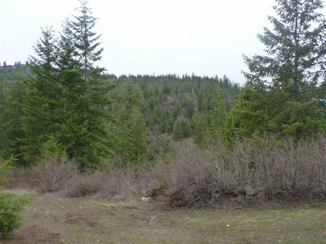 0 Bissell - A Road Hunters, WA 99137 - Photo 7 of 9