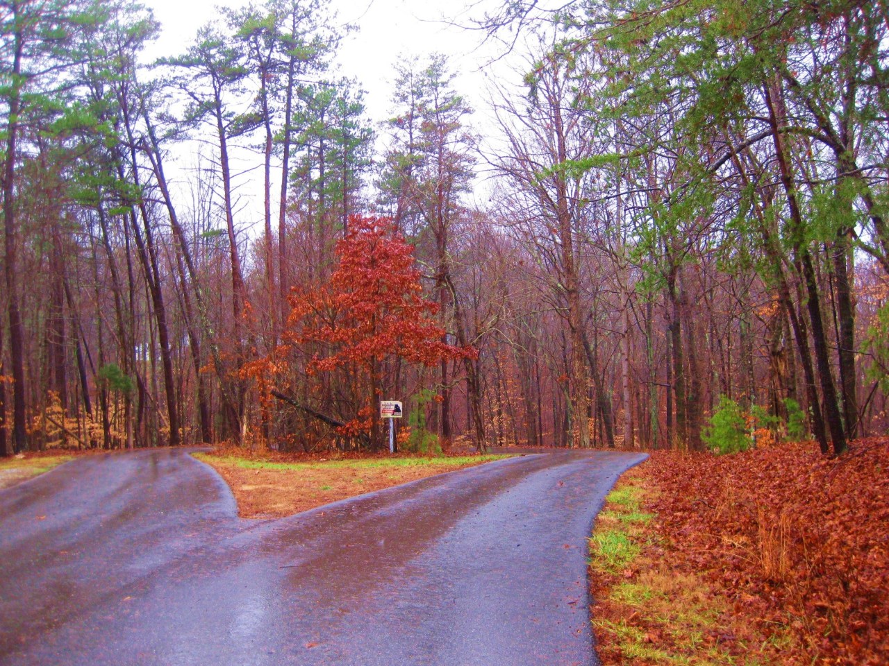 112 Little Creek Road Moneta, VA 24121 - Photo 12 of 90 Little Creek CulDeSac!