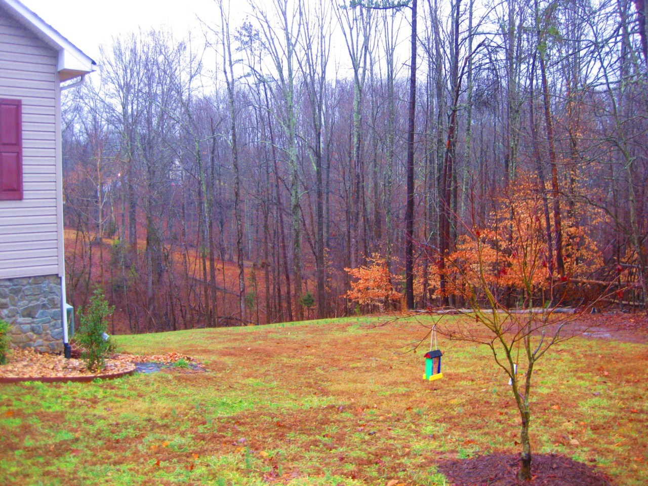112 Little Creek Road Moneta, VA 24121 - Photo 14 of 90 Right side yard!