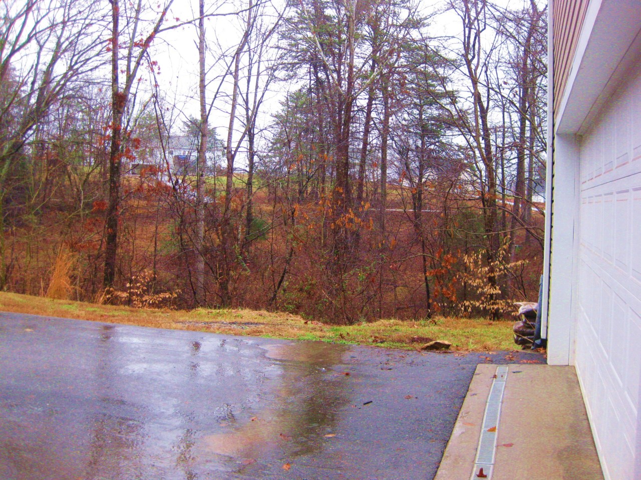112 Little Creek Road Moneta, VA 24121 - Photo 43 of 90 Just Outside Garage.....to Woods!!