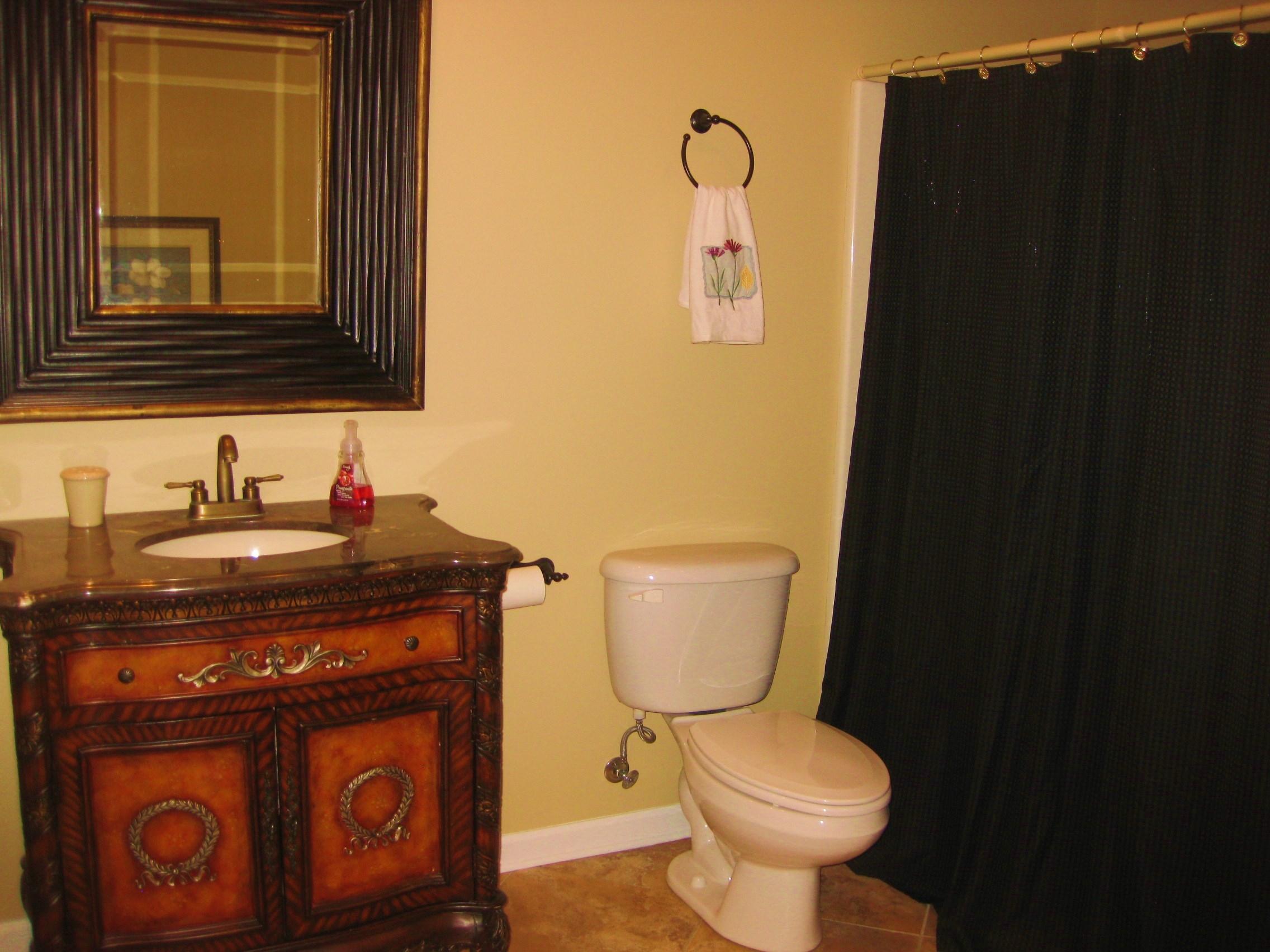 112 Little Creek Road Moneta, VA 24121 - Photo 45 of 90 HUGE LL Bath!
