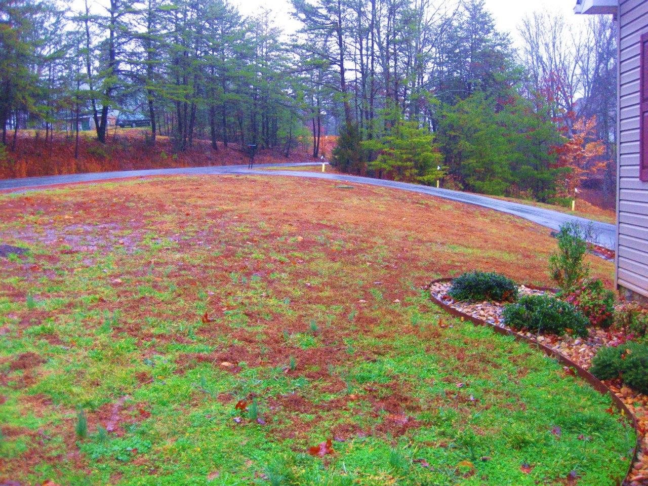 112 Little Creek Road Moneta, VA 24121 - Photo 52 of 90 Front Yard and Paved Driveway!