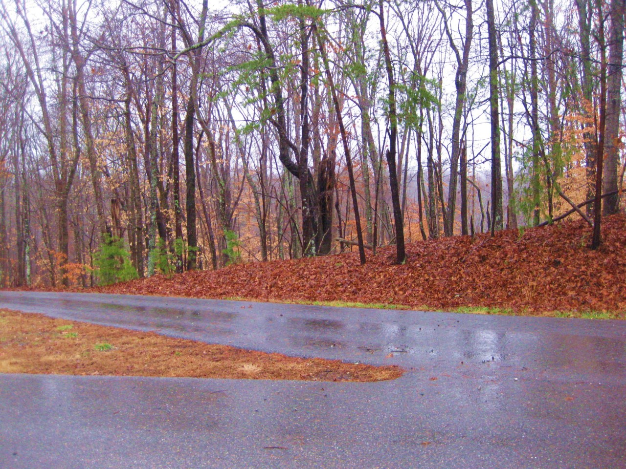 112 Little Creek Road Moneta, VA 24121 - Photo 53 of 90 Little Creek Rd/ Across Street! QUIET!!