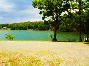 112 Little Creek Road Moneta, VA 24121 - Photo 55 of 90 Community Area/ Boat Launch&Dock!