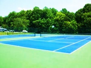 112 Little Creek Road Moneta, VA 24121 - Photo 63 of 90 Tennis Anyone??