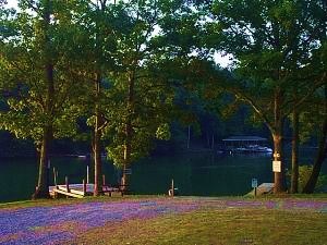 112 Little Creek Road Moneta, VA 24121 - Photo 64 of 90 Dusk......@ Community Launch!