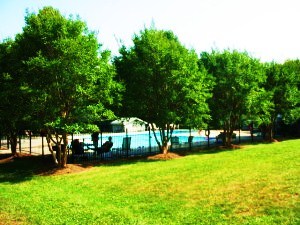 112 Little Creek Road Moneta, VA 24121 - Photo 66 of 90 Pool and Shade Trees!