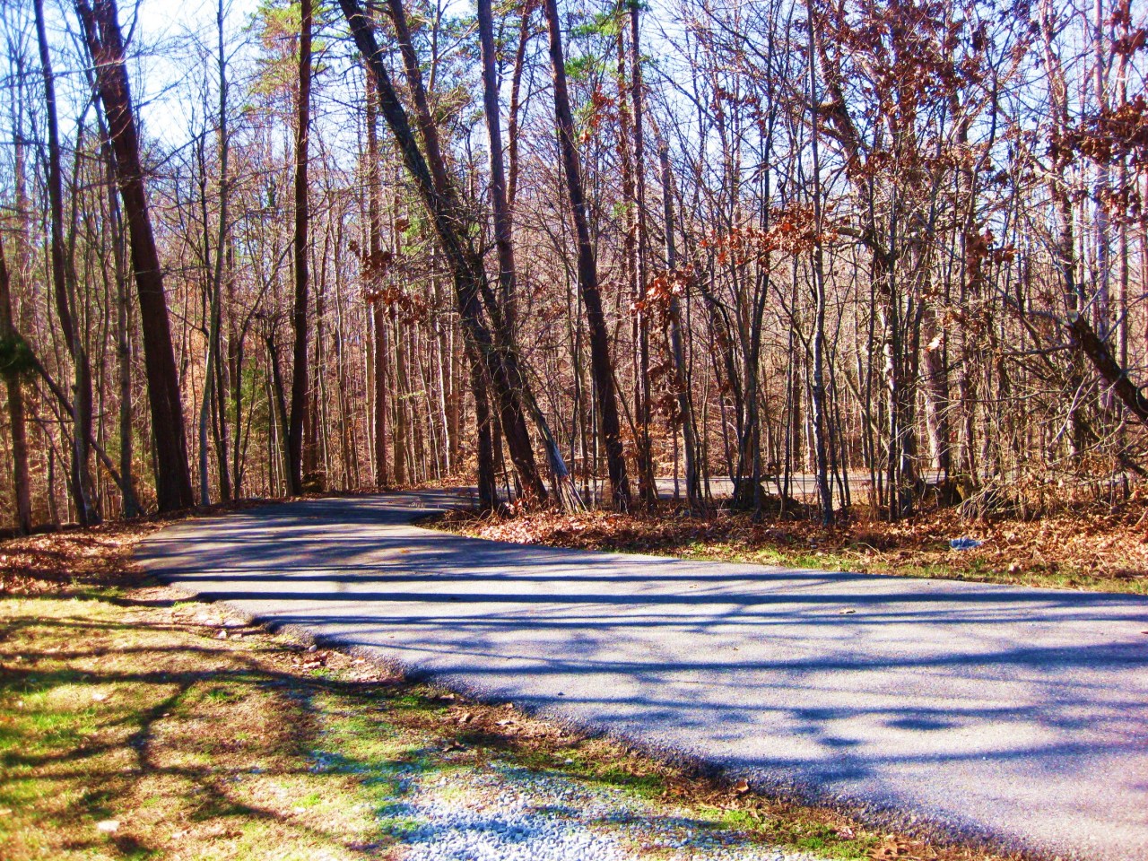 112 Little Creek Road Moneta, VA 24121 - Photo 78 of 90 Looking at CulDeSac from FrontYard!