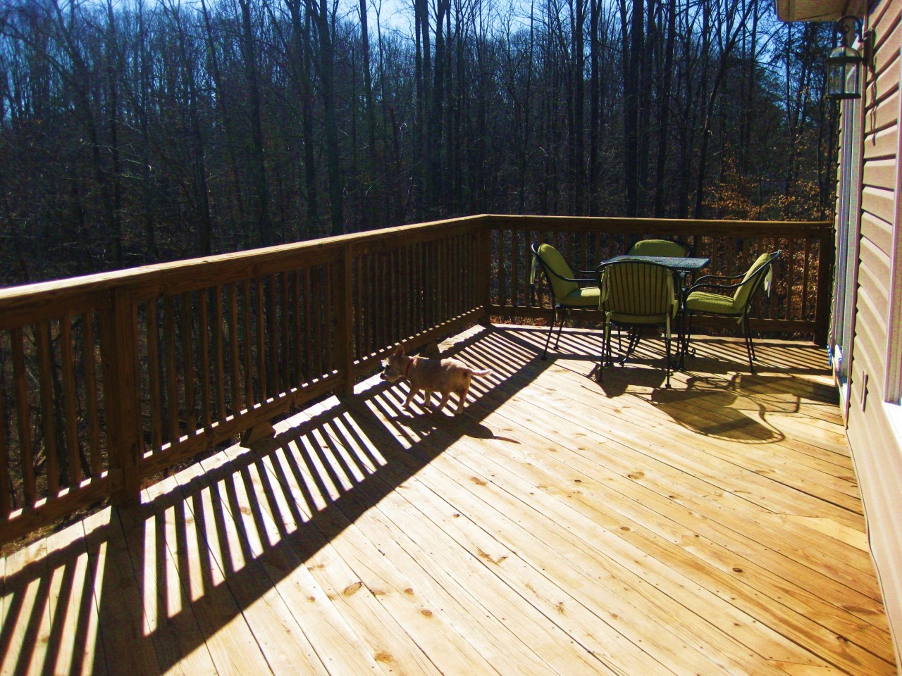 112 Little Creek Road Moneta, VA 24121 - Photo 79 of 90 Wonderful Rear Deck...Woods!