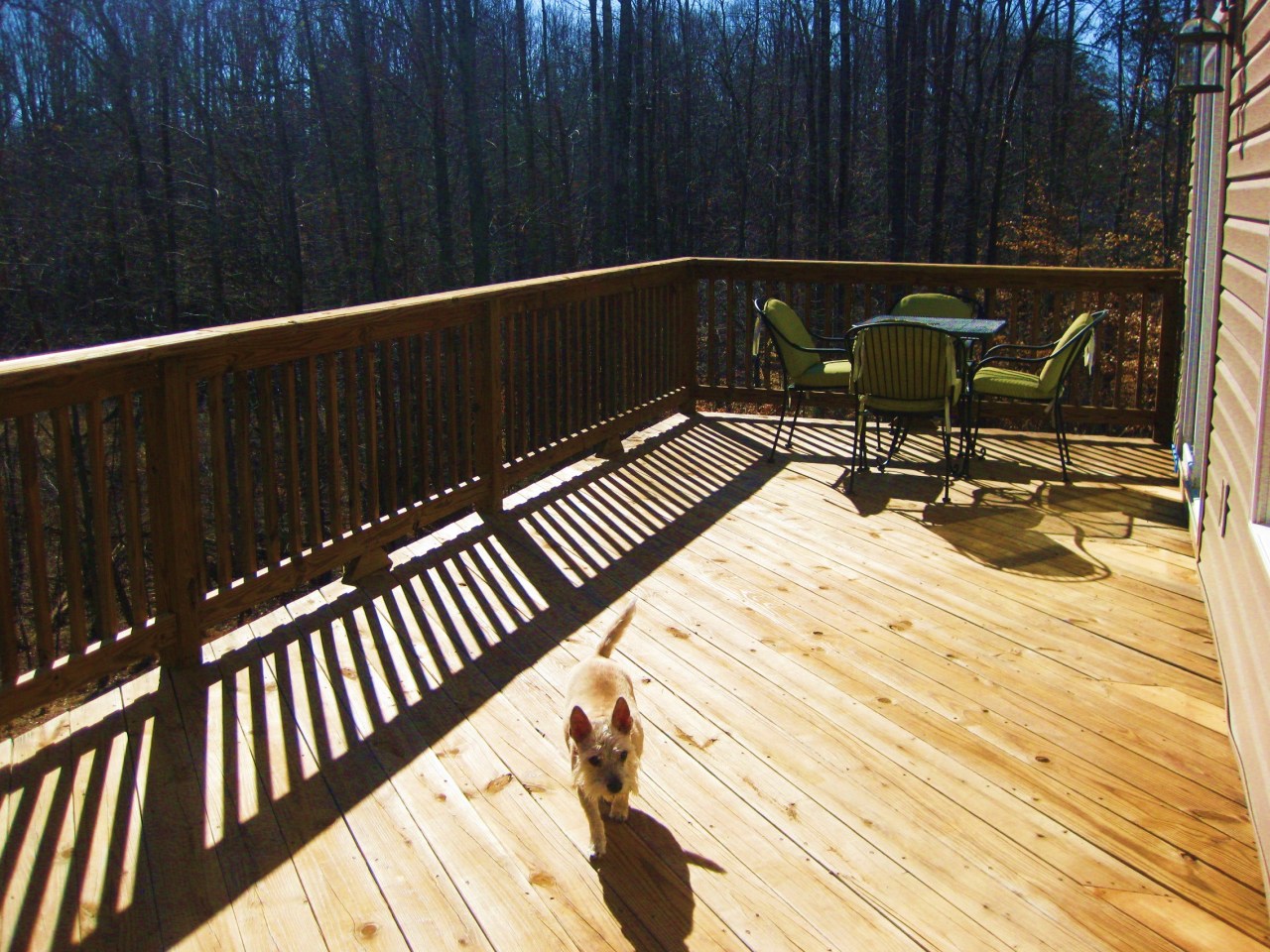 112 Little Creek Road Moneta, VA 24121 - Photo 80 of 90 Sunshine of the HUGE Rear DECK!