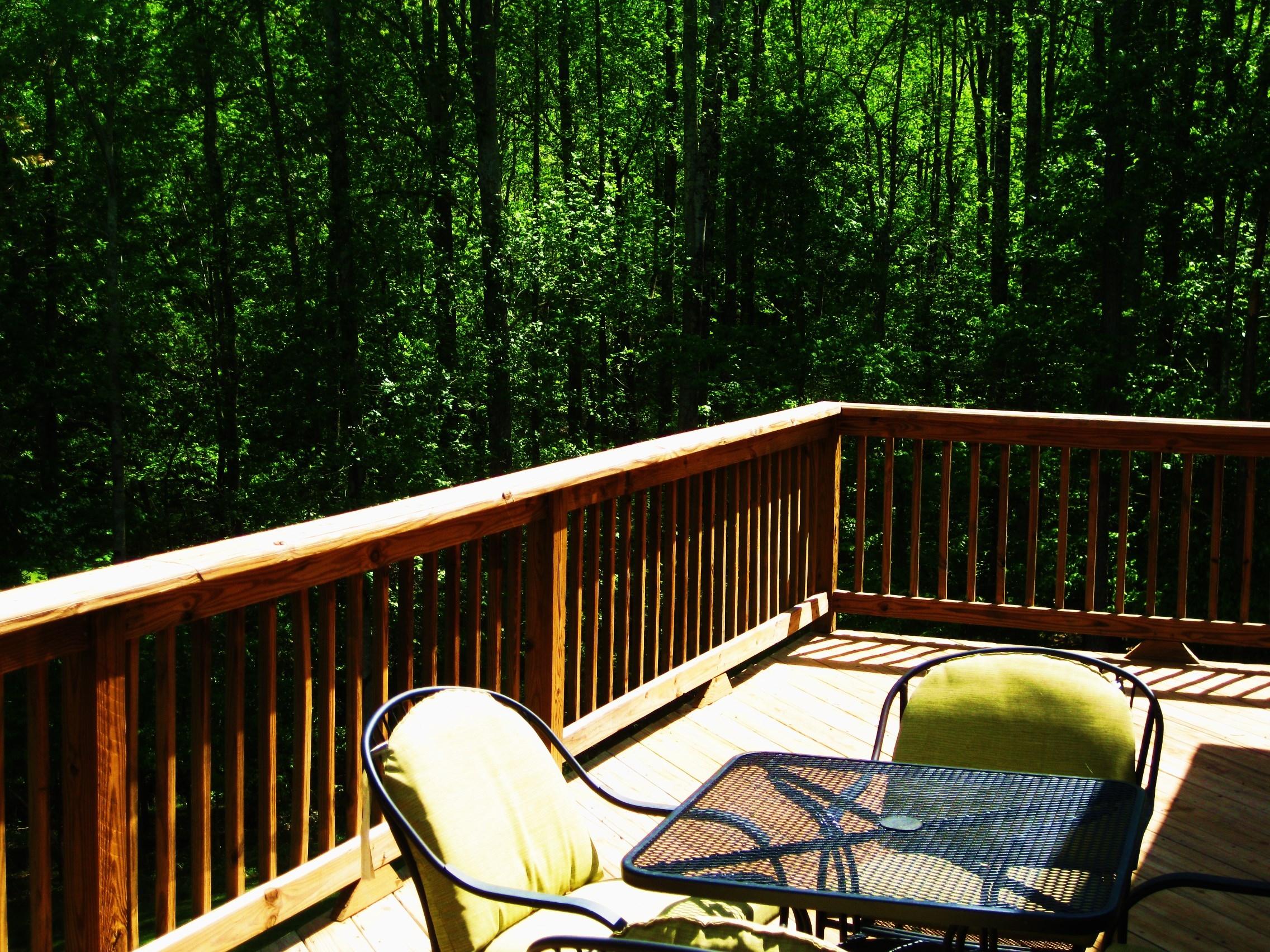 112 Little Creek Road Moneta, VA 24121 - Photo 83 of 90 Rear Deck Views!