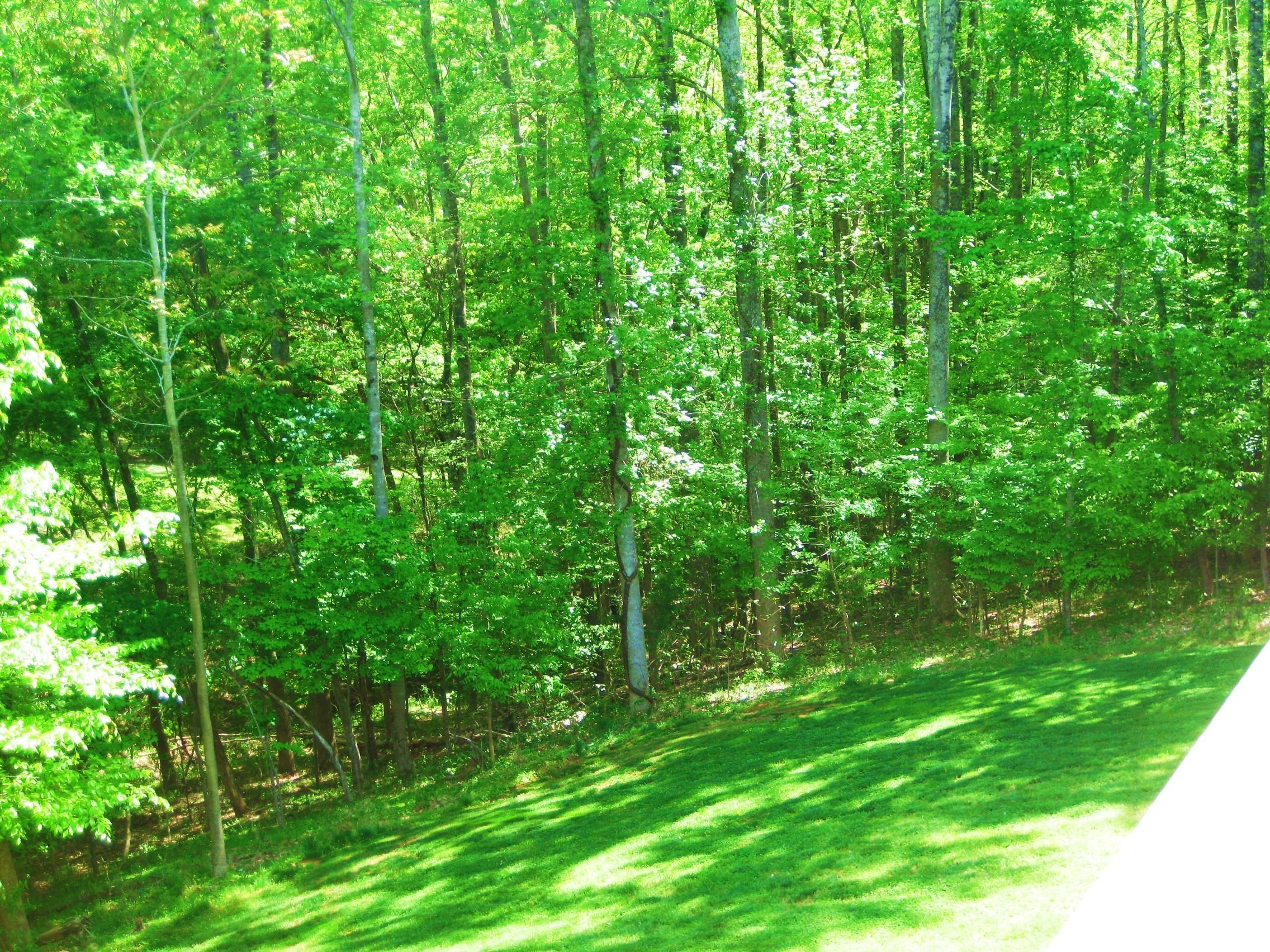 112 Little Creek Road Moneta, VA 24121 - Photo 84 of 90 Rear Views to Woods!!! and short walk...
