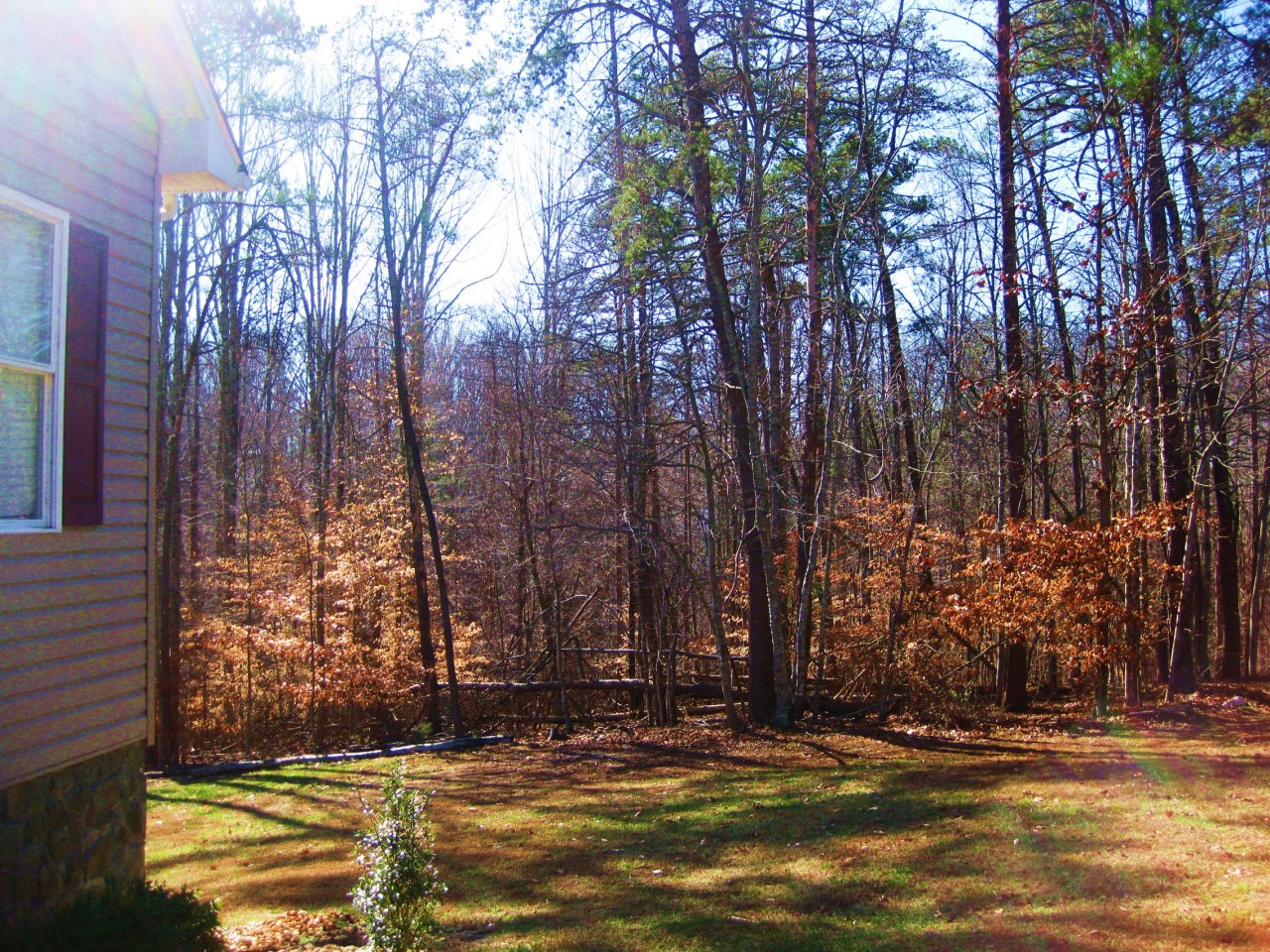 112 Little Creek Road Moneta, VA 24121 - Photo 90 of 90 Side Right Yard...Looking at GreenBelt