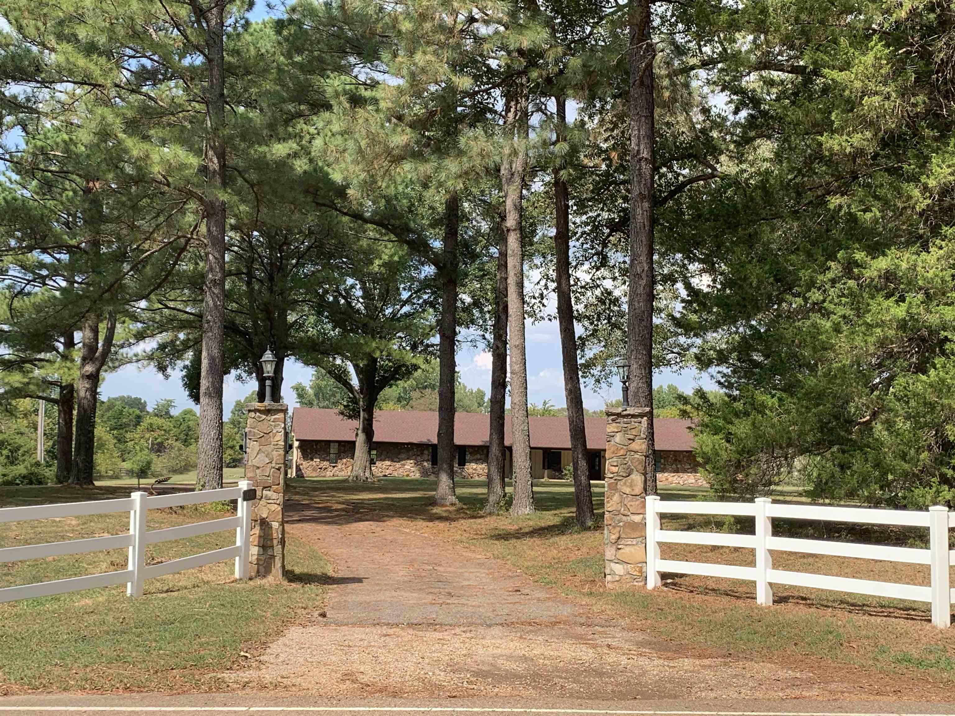 a view of a yard with large trees