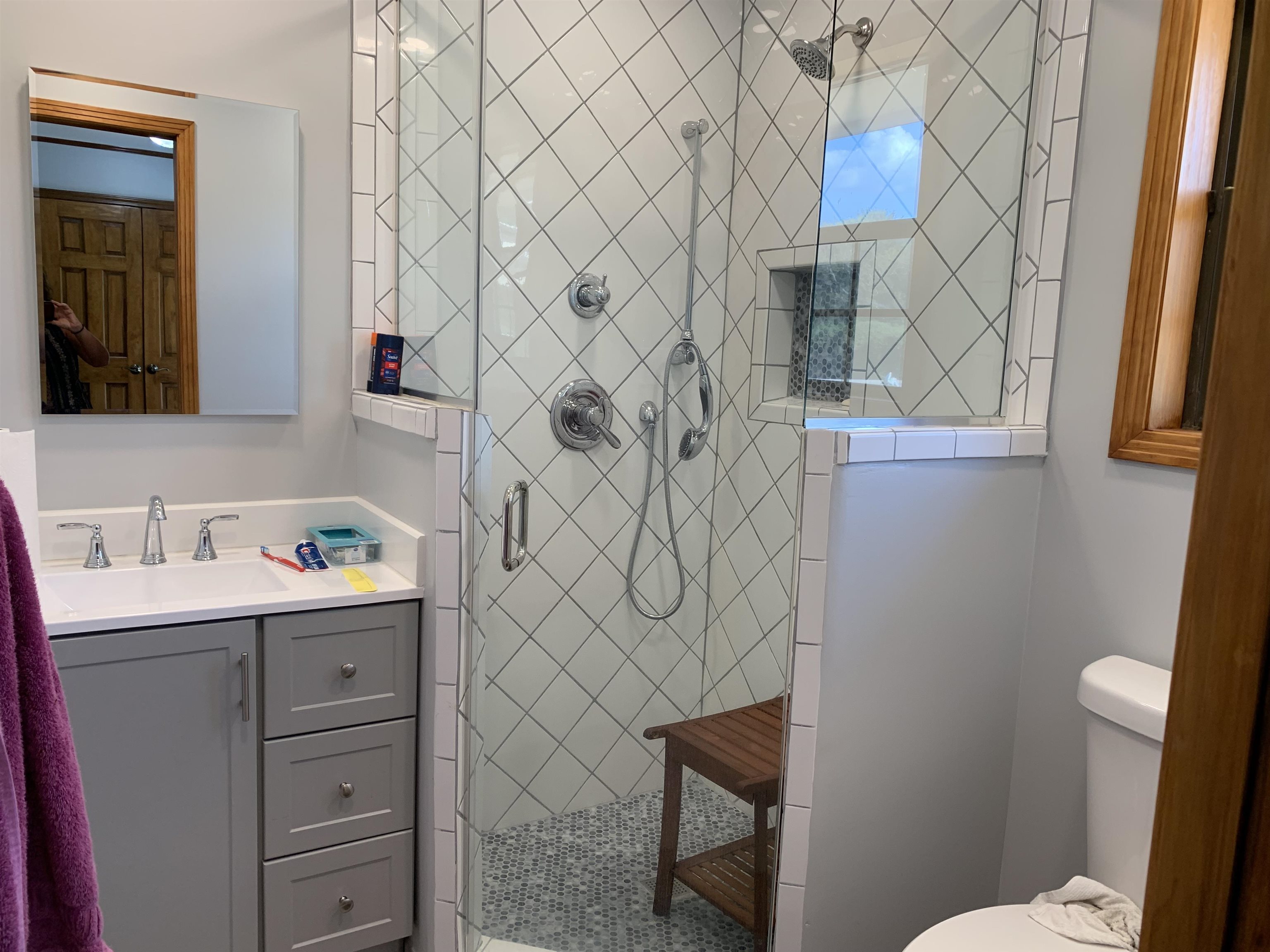 11280 Pleasant Ridge Road Arlington, TN 38002 - Photo 11 of 34 a bathroom with a sink a toilet and shower curtain