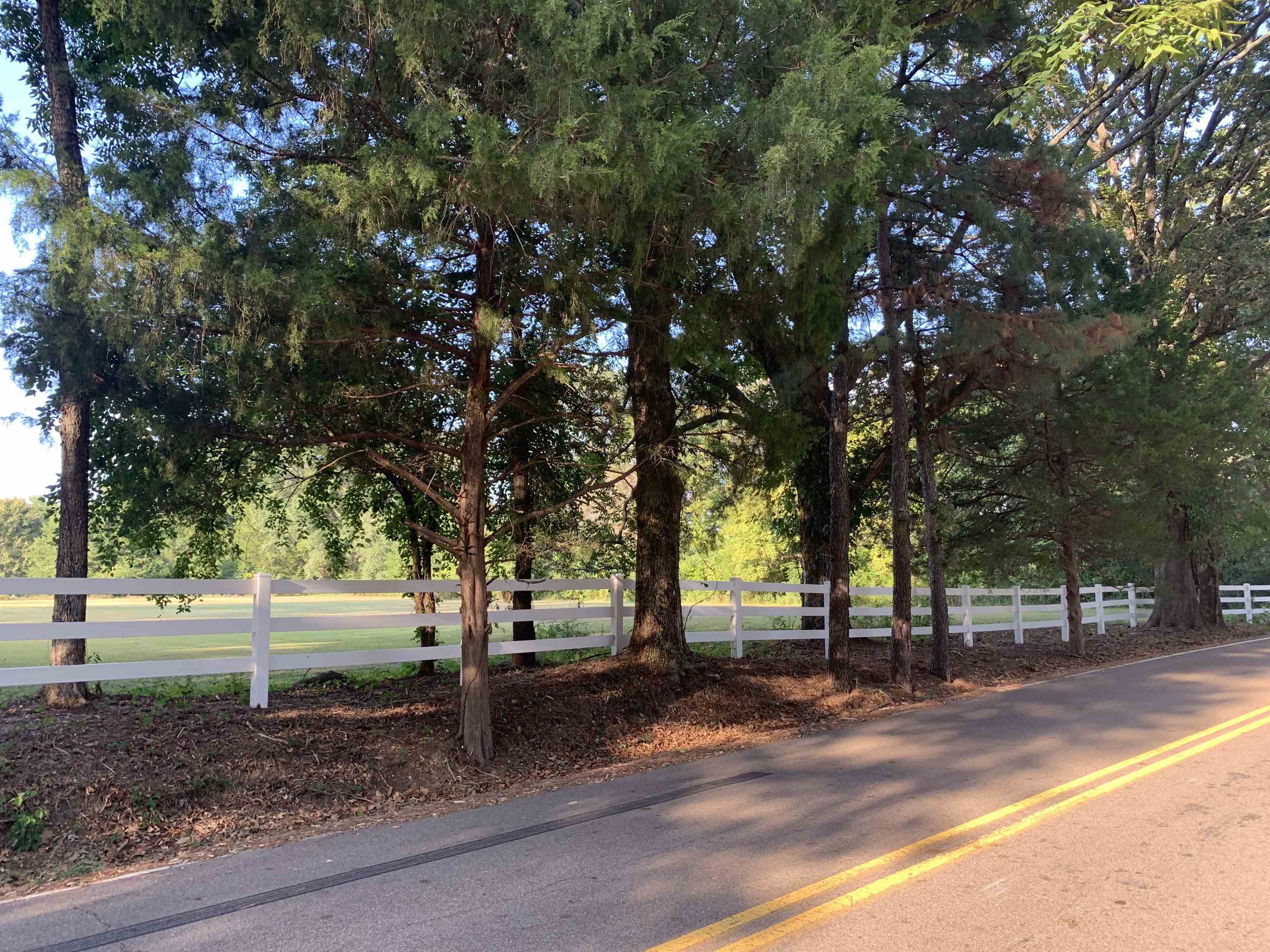 11280 Pleasant Ridge Road Arlington, TN 38002 - Photo 26 of 34 a view of road with tree s