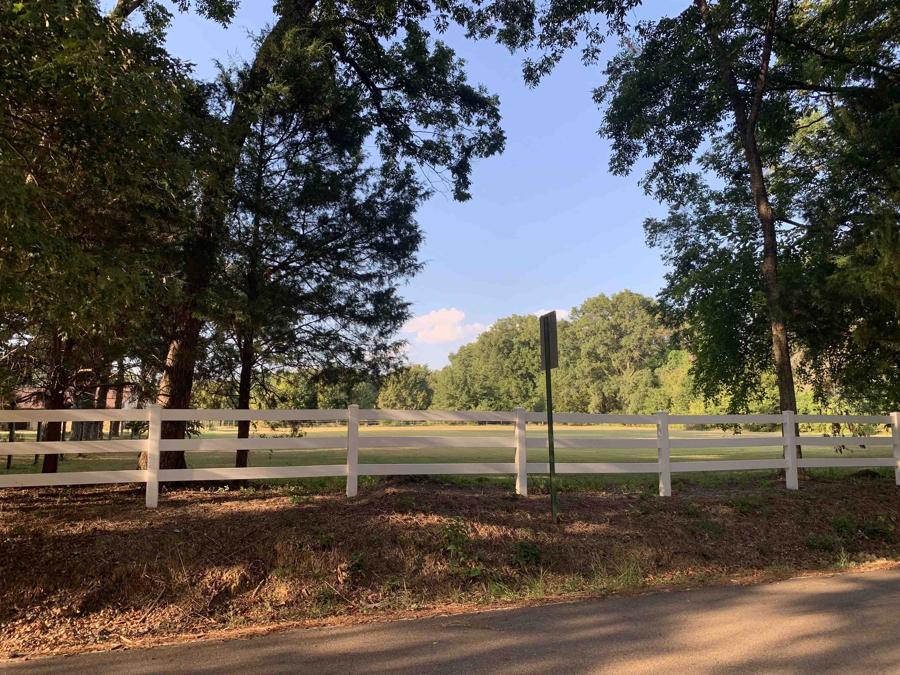 11280 Pleasant Ridge Road Arlington, TN 38002 - Photo 34 of 34 a view of a yard with large trees