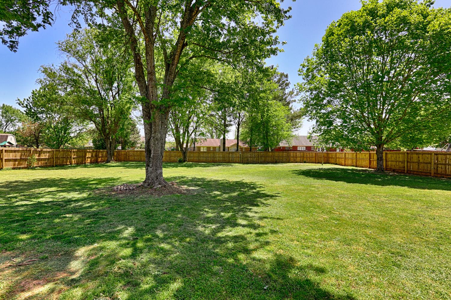 126 Raspberry Way Madison, AL 35757 - Photo 24 of 25 Back Yard View
