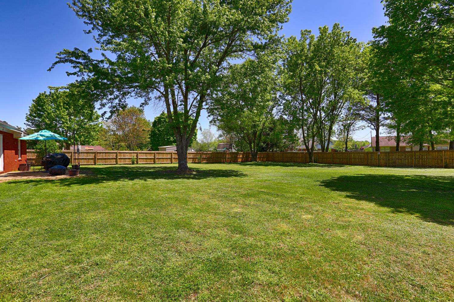126 Raspberry Way Madison, AL 35757 - Photo 25 of 25 Back Yard View