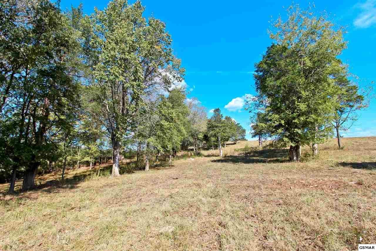 1 Timber Ridge Road Greeneville, TN 37743 - Photo 20 of 27 Gallery Image 20