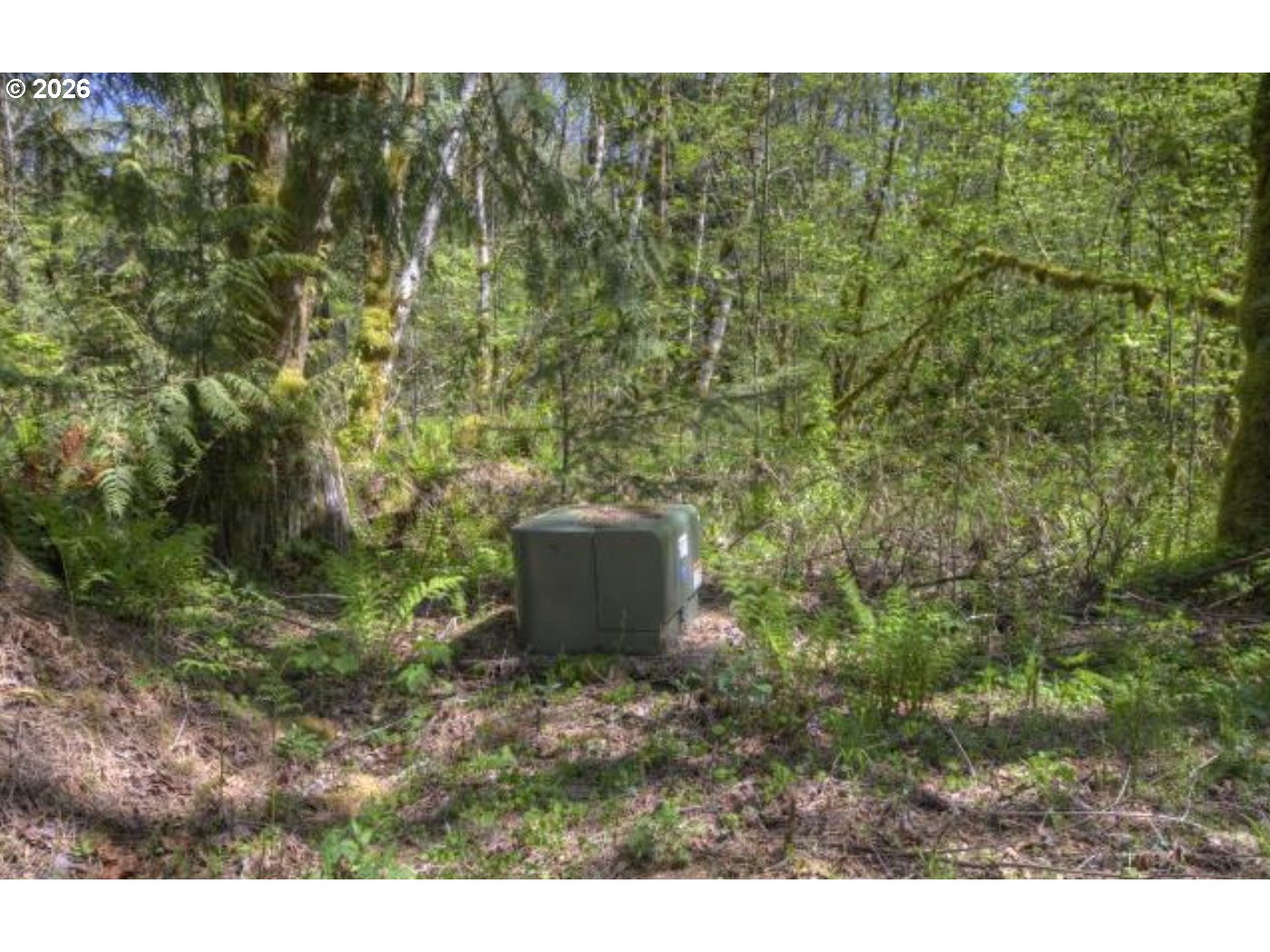 20284 East Carnarvon Road Rhododendron, OR 97049 - Photo 17 of 17