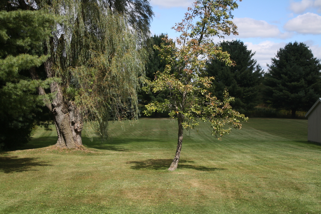 450 Devon Road Lee, MA 01238 - Photo 13 of 25 Backyard
