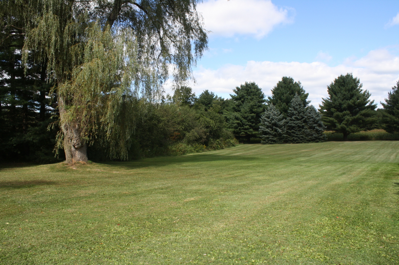 450 Devon Road Lee, MA 01238 - Photo 15 of 25 Backyard