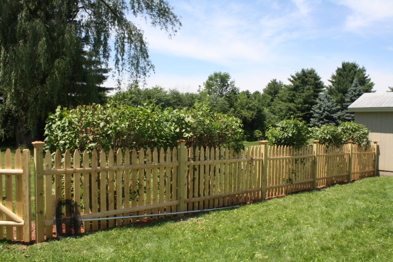 450 Devon Road Lee, MA 01238 - Photo 18 of 25 New fence