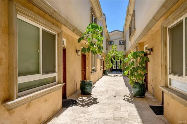 a potted plant sitting in front of a house