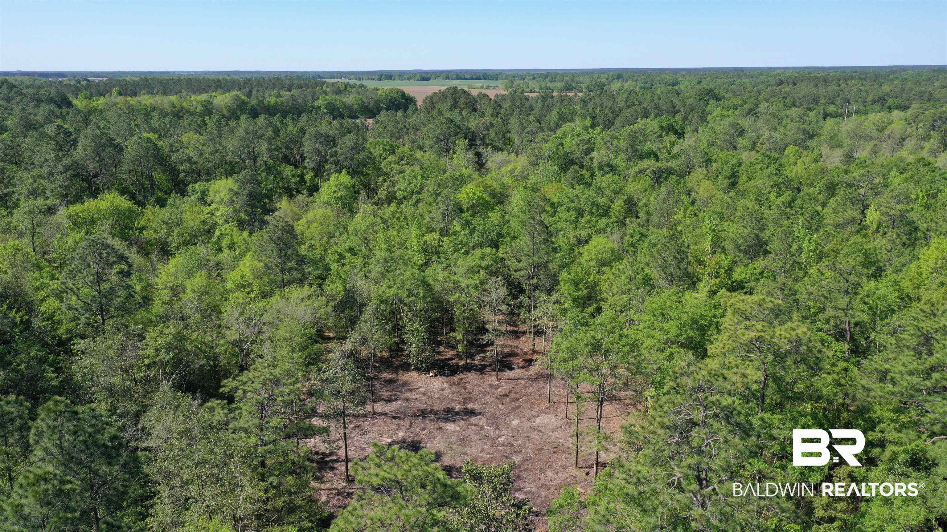 3 Brookwood Road Atmore, AL 36502 - Photo 13 of 15