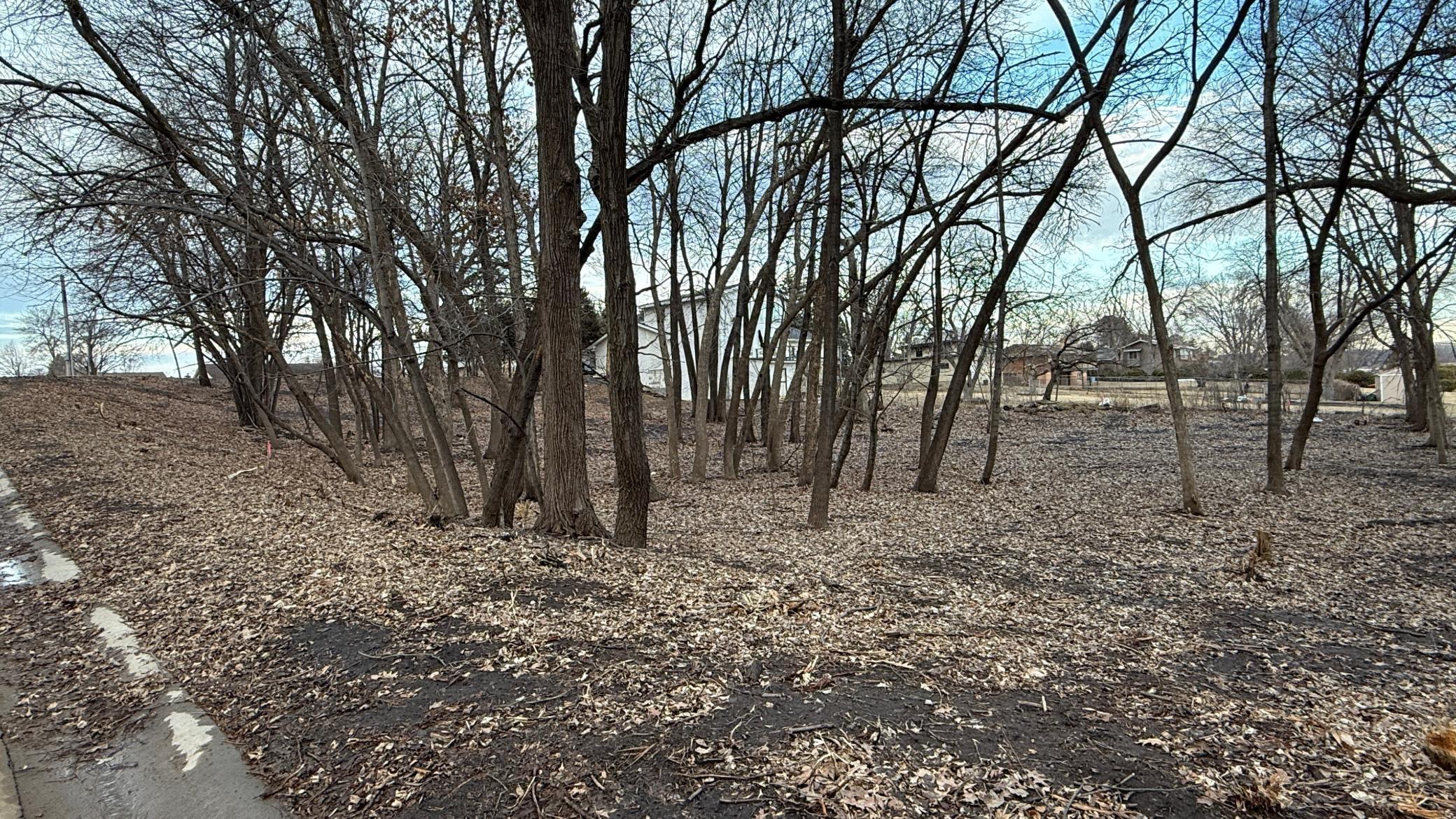 11081 69th Avenue North Maple Grove, MN 55369 - Photo 3 of 7