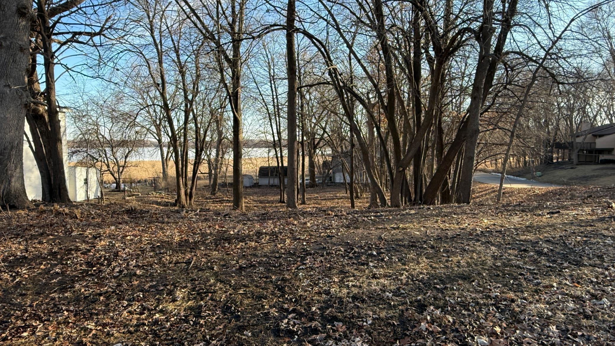 11081 69th Avenue North Maple Grove, MN 55369 - Photo 4 of 7