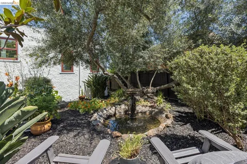 a view of a backyard with plants