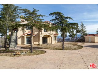 12200 Trail Road Agua Dulce, CA 91390 - Photo 4 of 37 Gallery Image 4