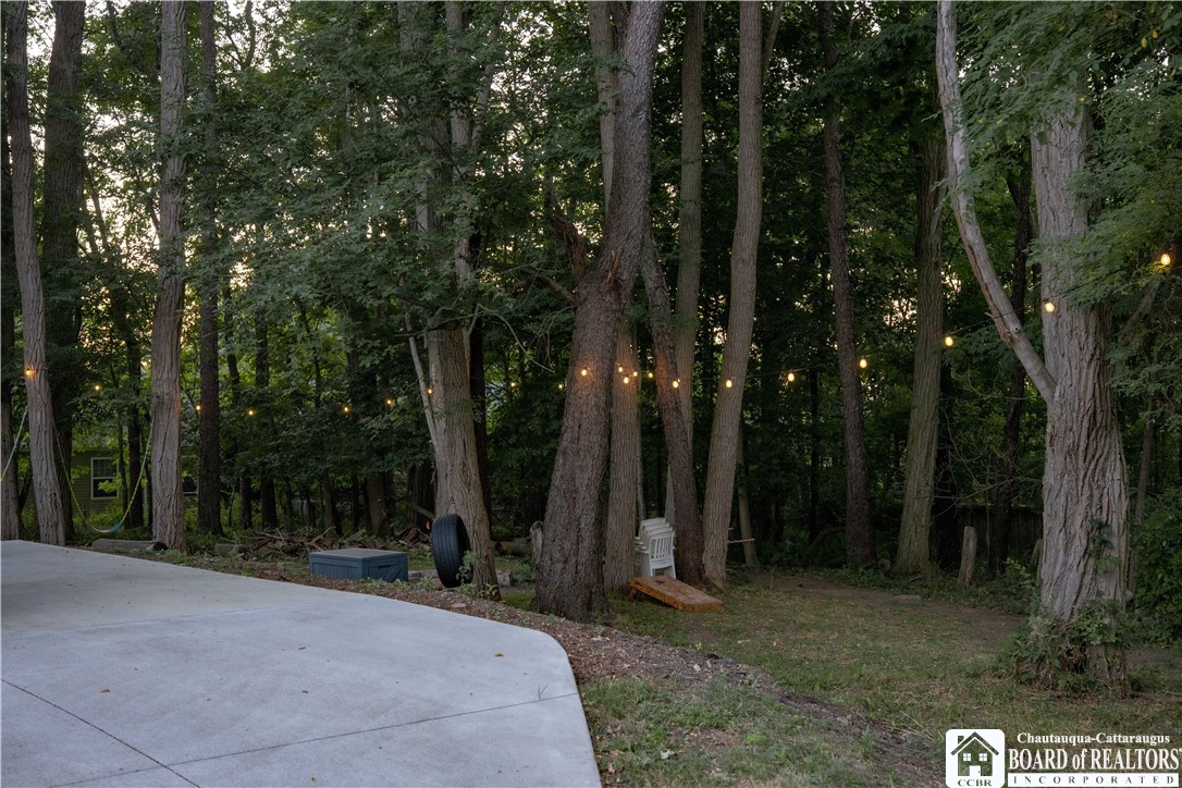 1 Edith Avenue Ellicott, NY 14701 - Photo 37 of 38