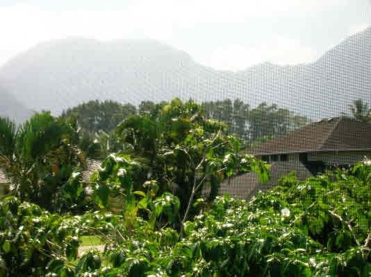 4922 Akai Road Princeville, HI 96722 - Photo 3 of 6 Gallery Image 3