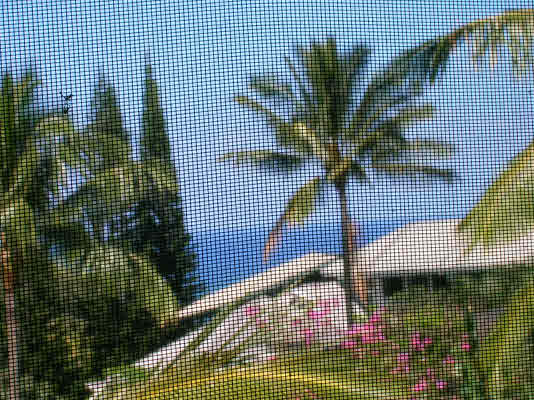4922 Akai Road Princeville, HI 96722 - Photo 5 of 6 Gallery Image 5