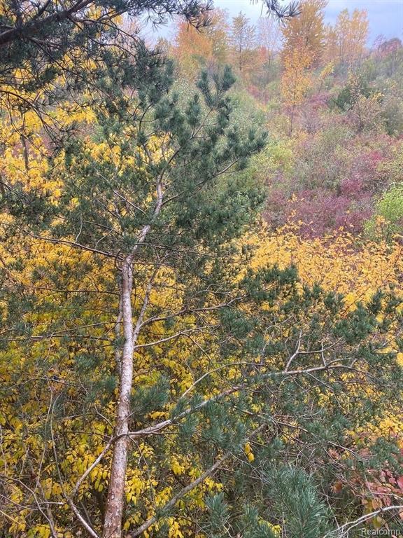 0 Eight Eight Mile Road Northville, MI 48167 - Photo 11 of 11