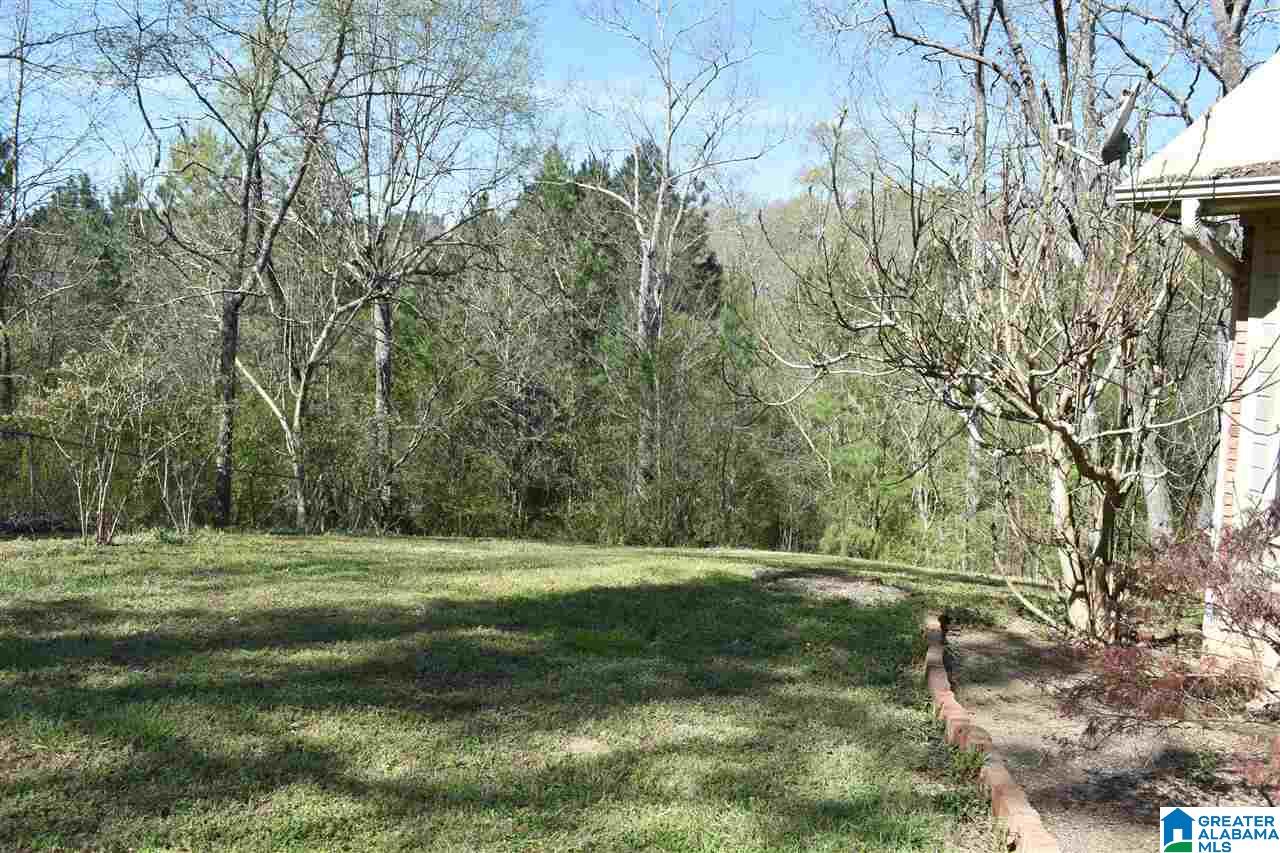 6180 Castle Lane Morris, AL 35116 - Photo 25 of 33