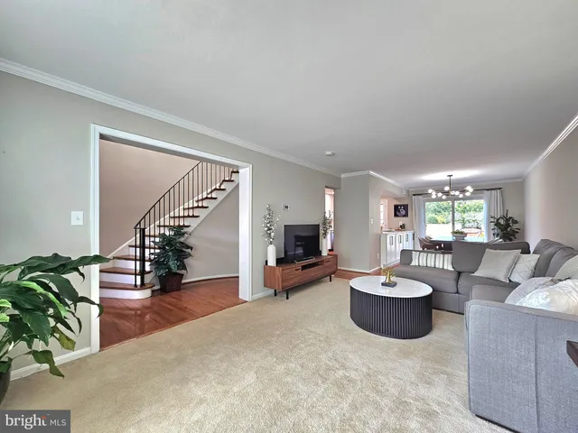 a living room with furniture potted plant and a window