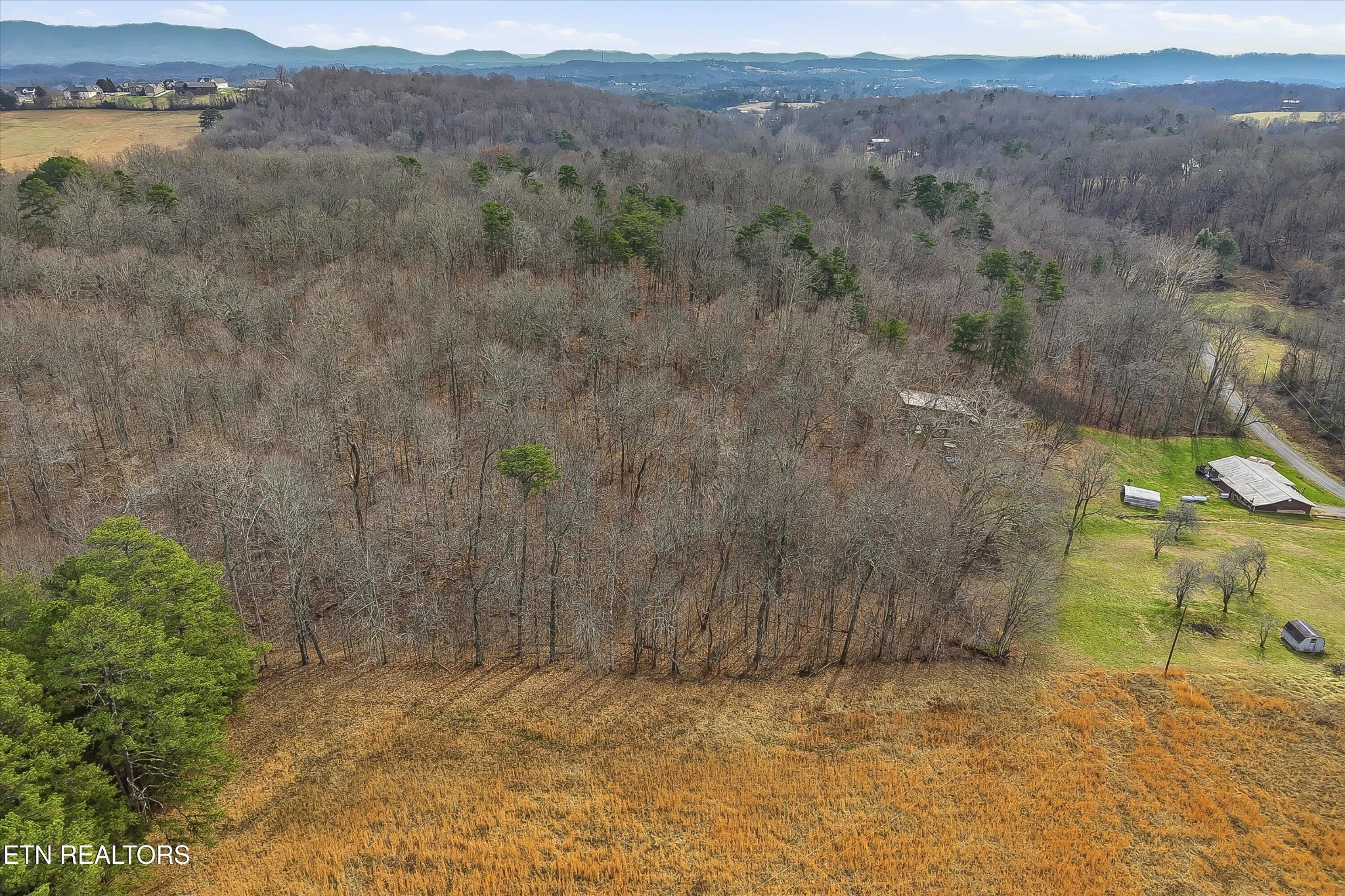 7809 Wood Road Corryton, TN 37721 - Photo 33 of 49 a view of a dry yard with mountain and trees